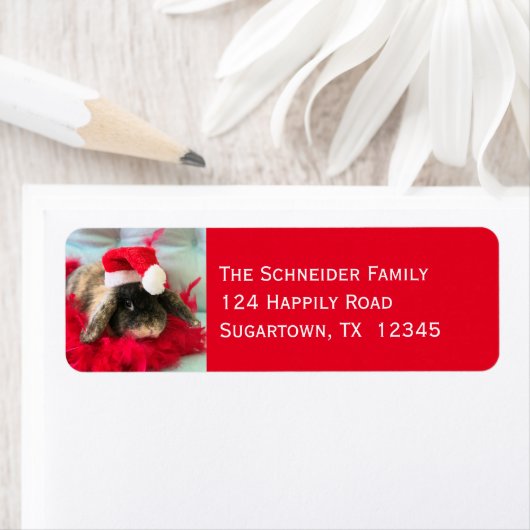 Holland Lop Bunny Rabbit Christmas Label (Insitu)