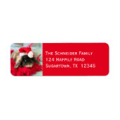 Holland Lop Bunny Rabbit Christmas Label (Vorne)