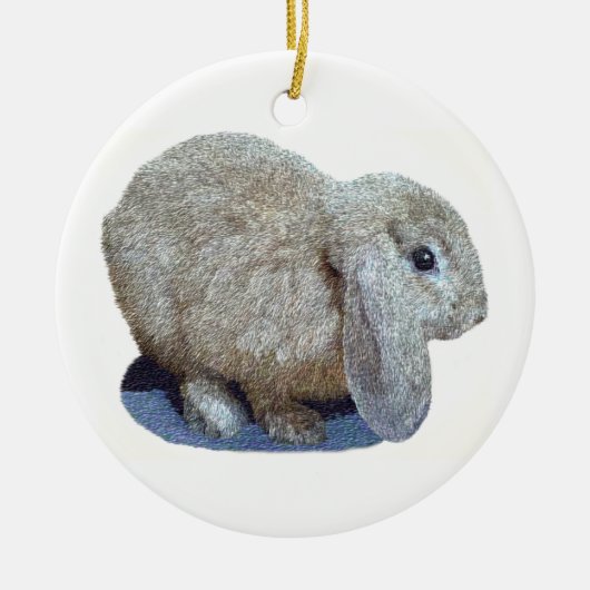 Holland Lop Ear Rabbit Ornament (Vorne)