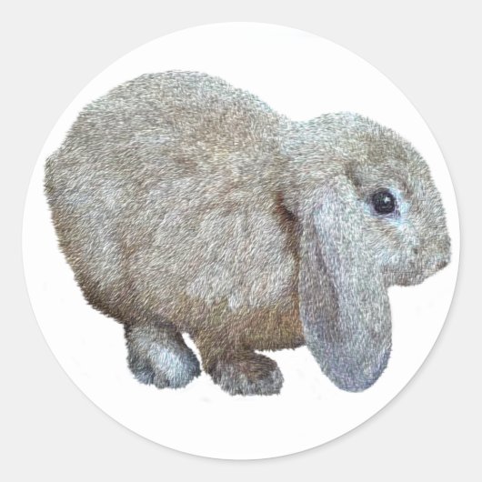 Holland Lop Ohr Rabbit Stickers (Vorderseite)