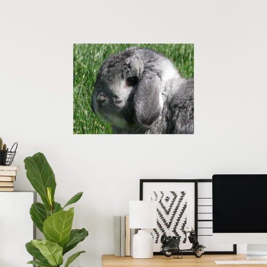 Holland Lop Poster (Heimbüro)