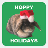 Holland Lop Rabbit Weihnachtsaufkleber Quadratischer Aufkleber (Vorderseite)