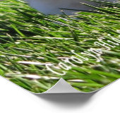 Holland Lop Stehend Up Poster (Ecke)