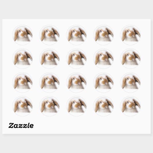 Holland Lop Sticker (Blatt)