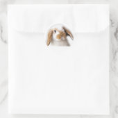 Holland Lop Sticker (Tasche)