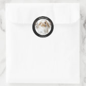 Holland Lop Stickers (Tasche)
