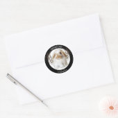 Holland Lop Stickers (Umschlag)