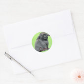 Holland Lop Stickers (Umschlag)