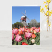 Holland, Michigan Karte (Gelbe Blume)