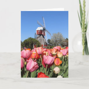 Holland, Michigan Karte