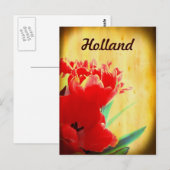 Holland, Orange Tulips Postkarten (Vorne/Hinten)