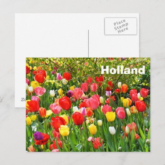 Holland Postkarte (Vorne/Hinten)