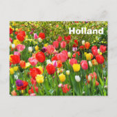 Holland Postkarte (Vorderseite)