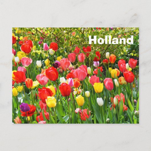 Holland Postkarte (Vorderseite)