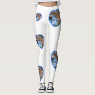 Holland-Schmierölniederdruck-Häschen u. sein Leggings