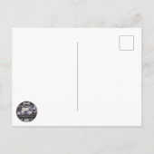 Holland Seegras Postkarte (Rückseite)