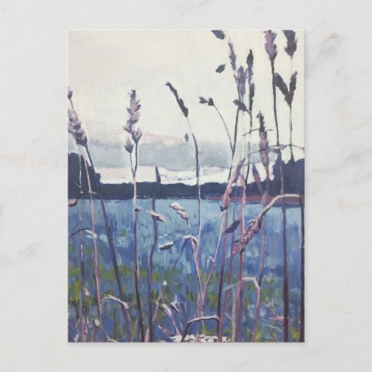 Holland Seegras Postkarte (Vorderseite)