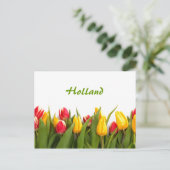 Holland, Spring Tulip Garden Postcard Postkarte (Stehend Vorderseite)