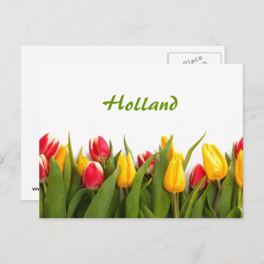Holland, Spring Tulip Garden Postcard Postkarte (Vorne/Hinten)