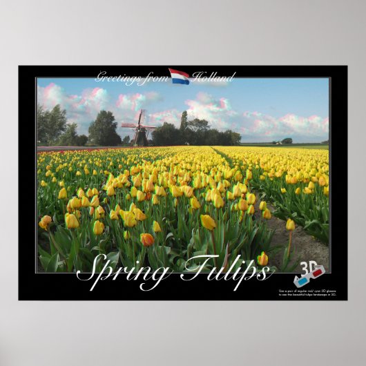 Holland Spring Tulips Landscape 3D Anaglyph Poster (Vorne)