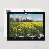 Holland Spring Tulips Landscape 3D Anaglyph Postkarte (Vorne/Hinten)