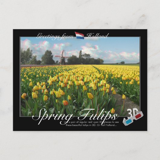 Holland Spring Tulips Landscape 3D Anaglyph Postkarte (Vorderseite)