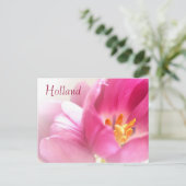 Holland, Spring Tulips Postcard Postkarte (Stehend Vorderseite)