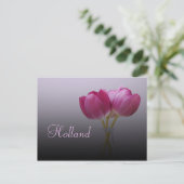 Holland, Spring Tulips Postcard Postkarte (Stehend Vorderseite)