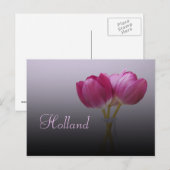 Holland, Spring Tulips Postcard Postkarte (Vorne/Hinten)