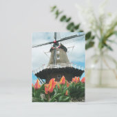 Holland Tulip Time Flowers Windmill Postkarte (Stehend Vorderseite)