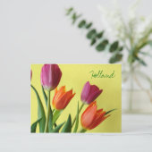 Holland, Tulips Postcard Postkarte (Stehend Vorderseite)