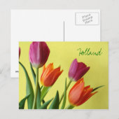 Holland, Tulips Postcard Postkarte (Vorne/Hinten)