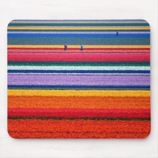 Holland, Tulpefelder Mousepad (Vorne)