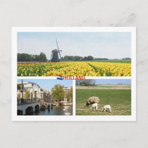 Holland Windmill Tulips Amsterdam Niederländische  Postkarte