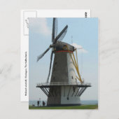 Holland-Windmühle in Zeeland, die Niederlande Postkarte (Vorne/Hinten)