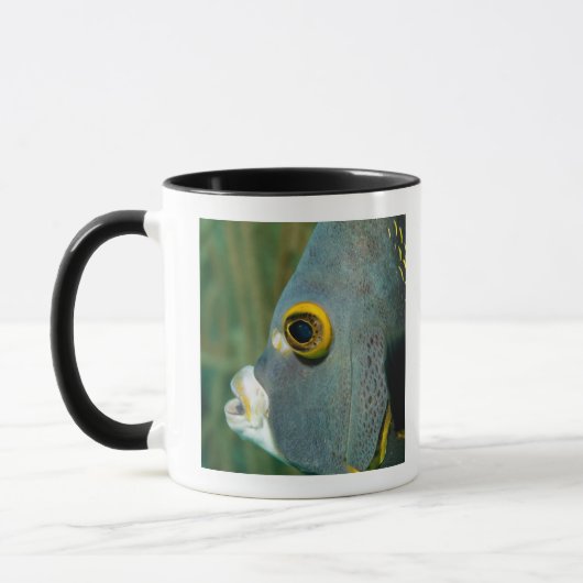 Holländer Antillen, Bonaire, Tasse (Links)