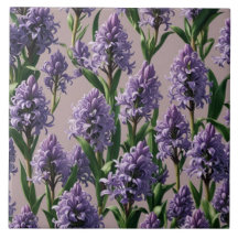 Holländische Hyacinth-Lila-Blumen