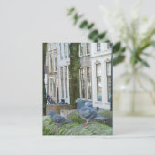 Holländische Kanalhäuser und Tauben Postkarte (Stehend Vorderseite)