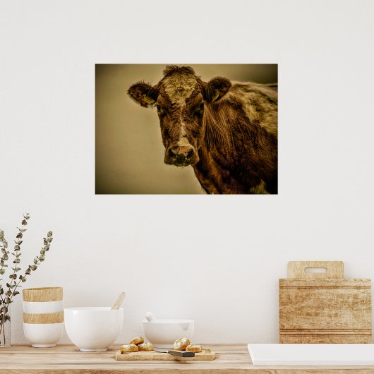 Holländische Kuh Poster (Küche)