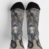 Holländische Schäfermalerei - Niedliche Original H Socken (Oben)