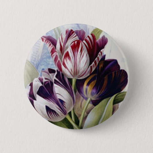 Holländische Tulpen Button (Vorderseite)