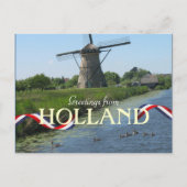 Holländische Windmill Enten Postcard Postkarte (Vorderseite)