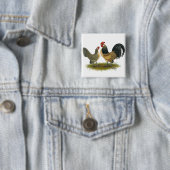 Holländischer Bantam: Blue Quail Button (Beispiel)
