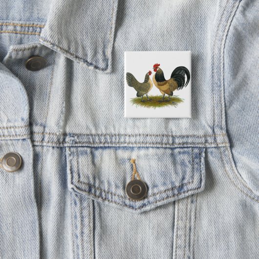 Holländischer Bantam: Blue Quail Button (Beispiel)