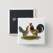 Holländischer Bantam: Blue Quail Button (Vorne & Hinten)