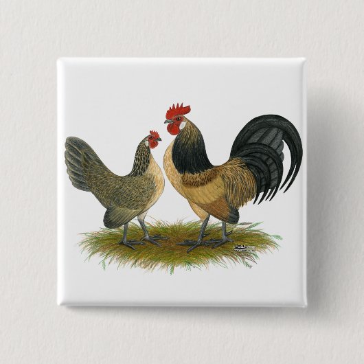 Holländischer Bantam: Blue Quail Button (Vorderseite)