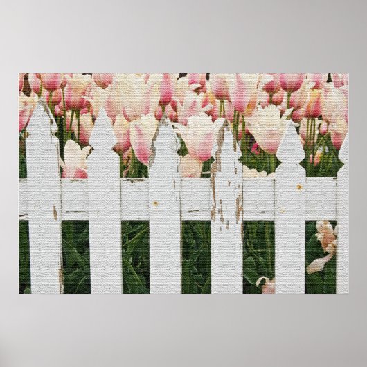 Holländischer rosa Tulpen Garten Poster (Vorne)