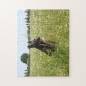 Holländischer Schäferhund auf dem Feld Puzzle (Vertikal)