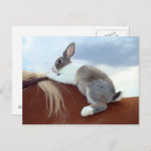 Holländisches Kaninchen, das auf einer Postkarte r (Vorne/Hinten)