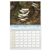 Hollands bos Kalender aan te passen (Jan 2027)